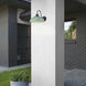 Levitt 1 Light 11.63 inch Natural Black Outdoor Wall Light in Natural Teal